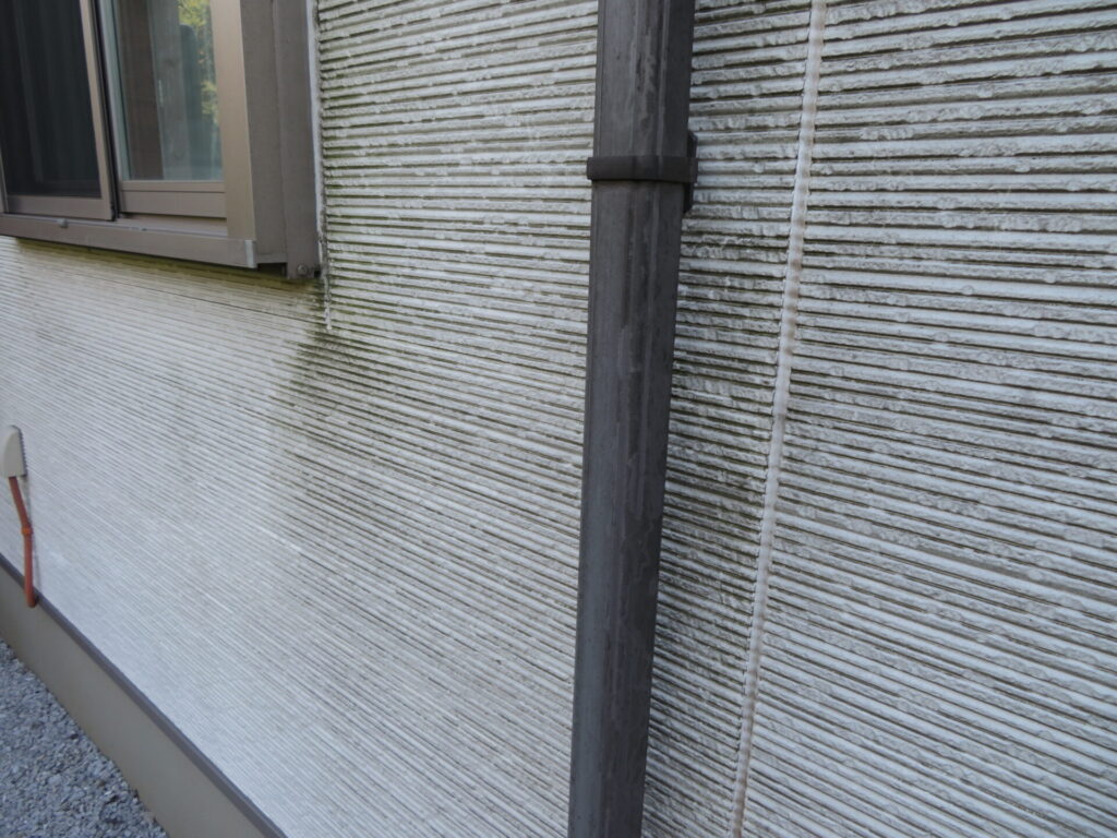 外壁塗装　藻　苔　外壁リフォーム　塗り替え　雨樋
